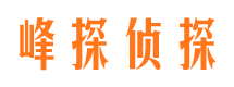 鼎湖侦探公司